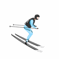 Ski Icon