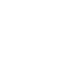 Zoom logo white
